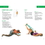 Stretch Out 440-2 Stretch Out Strap with Exercise Booklet