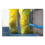 Onguard 868-9759100.2X Latex Chemical Boot Cover, 12 in, 2X-Large, Latex Rubber, Yellow, Price/1 PR