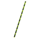 Packnwood Durable Bamboo DesignedPaper Straws