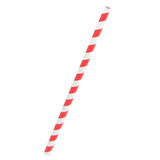 Packnwood Durable Smoothie Paper Straws With White & Red Stripes