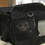 Airline Approved Pet Travel Carrier for Dogs & Cats Soft-Sided Collapsible Foldable