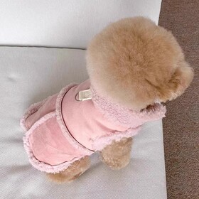 Aspire Suede Pet Vest Winter Dog Jacket Soft Fleece Lined Warm Clothes for Small and Medium Pets Adjustable Harness Vest