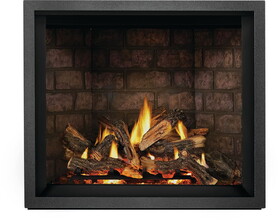 Napoleon NP EX42PTEL Elevation&#153; X 42 Direct Vent Fireplace, Propane, Electronic Ignition