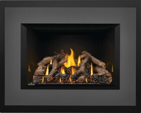 Napoleon NP GDIX4N-1 Oakville&#153; X4 Gas Fireplace Insert, Natural Gas, Electronic Ignition