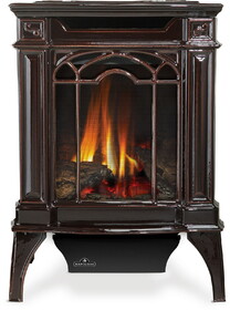 Napoleon NP GDS20NNSB Arlington&#153; Direct Vent Stove, Natural Gas, Millivolt Ignition - Majolica Brown