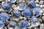 Penn-Plax Gem-Stone Swirls - Blue&Clear / 100 Pieces