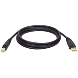 Tripp Lite U022-006 A-Male to B-Male USB 2.0 Cable (6ft)
