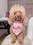 Muka Personalized Dog Bandana Imprinted with Custom Photo / Logo / Text