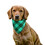 MUKA Dog Bandana Classic Green Plaid Scarf Pet Bib Soft Cotton Fabric Neckerchief for Dogs / Cats