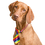 TOPTIE 30 Pcs Adjustable Dog Bow Ties Collar Christmas Festival Pet Bowties Neckties