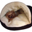 GOGO Luxury Cozy Cave Pet Bed