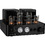 Dayton Audio HTA100BT Hybrid Stereo Tube Amplifier with Bluetooth USB Aux Phono In Sub Out 100W
