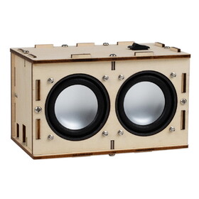 Parts Express STEM Bluetooth 5.0 Speaker Kit with Wooden Enclosure and 2 x 5W Amp Board
