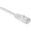 Dalco Cat6 Patch Cable - 3 ft. White