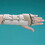 Rolyan A679003 Rolyan In-Line Splint