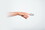 Chrisofix 126121101 Chrisofix Mallet Finger Splint (DIP)