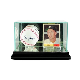 Perfect Cases Card and Baseball Display Case