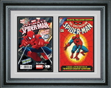Perfect Cases Double Comic Book Frame with Premium Moulding