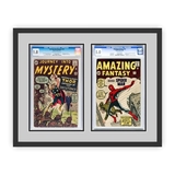 Perfect Cases and Frames Double Graded Comic Book Frame