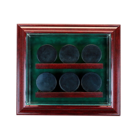 Perfect Cases 6 Hockey Puck Cabinet Style Display Case