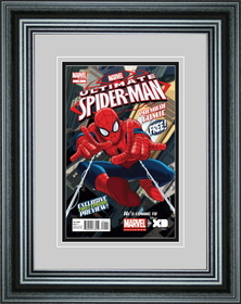 Perfect Cases Single Comic Book Frame with Premium Moulding