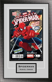 Perfect Cases Single Comic Book Frame with Engraving in Classic Moulding