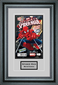 Perfect Cases Single Comic Book Frame with Engraving in Premium Moulding