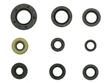 OutLaw Racing Engine Oil Seal Kit - OR3465