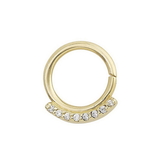 Painful Pleasures Custom-627-JSR008-BG 16g 5/16" 14kt Yellow Gold or White Gold 8 Stone Jeweled Ring for Daith Piercings (Custom Made)