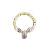 Painful Pleasures Custom-630-JSR013-BG 16g 5/16" 14kt Yellow Gold or White Gold Fairy Jeweled Ring for Daith Piercings (Custom Made)