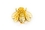 Painful Pleasures Custom-652-DT044-BG 14kt Yellow or White Gold Internally Threaded Bumblebee - Custom Made - Price Per 1