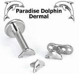 Painful Pleasures DERM020-14G-DOLPHIN 14g - 12g Internally Threaded Dolphin Top - Price Per 1