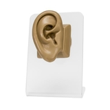 Painful Pleasures DIS-105 Realistic Adult-Sized Silicone Right Ear Display - Tan Body Bit Version 2