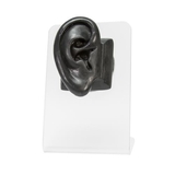 Painful Pleasures DIS-107 Realistic Adult-Sized Silicone Right Ear Display - Black Body Bit Version 2