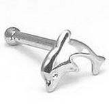 Painful Pleasures GNS016 14kt White Gold Dolphin Nose Bone 20g