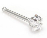 Painful Pleasures GNS047 14kt White Gold PRONG STAR Nose Bone 20g Nostril Jewelry