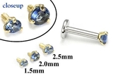 Painful Pleasures GNS176 18g-16g Internally Threaded Replacement YELLOW GOLD PRONG Dk. Blue - Price Per 1