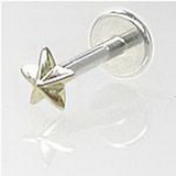 Painful Pleasures MAKE-JL108-16G-8MM-GNS021B 16g Internally Threaded Labret with 14kt Gold Nautical Star