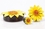 Elementals Organics ORG1075 YELLOW Flower Painted Leather Double Flare Horn Plug 8mm - 50mm - Price Per 1