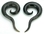 Elementals Organics ORG224 Simple Spiral Drop Natural Horn Hanger Body Jewelry 4mm - 10mm - Price Per 1