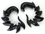 Elementals Organics ORG263-pair FLAMES Black Horn Spiral Earrings Body Jewelry - Price Per 2