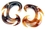 Elementals Organics ORG483-pair Predator Weapon GOLDEN Horn Spiral Earrings Body Jewelry - Price Per 2