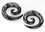 Elementals Organics ORG700 Horn Spiral with SILVER INLAY Organic Body Jewelry - 6mm - 10mm - Price Per 1