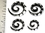 Elementals Organics ORG707 EVOLUTION OF Wholesale Horn Tatoo Spirals Organic Body Jewelry 12g - 00g - Price Per 1
