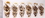 Elementals Organics ORG806 Antiqued Bone Hanger Wholesale Organic Body Jewelry 12g - 0g - Price Per 1