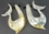 Elementals Organics ORG838-pair Mother of Pearl WHALE Hanger Organic Jewelry - Price Per 2