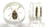 Painful Pleasures P085-HBYG-bug HBYG Bug - Cool Looking Bug inside an acrylic Plug for Gauged Ears - 16mm - 24mm - Price Per 1