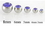 Painful Pleasures RES154-14g-ext-gem Jeweled Gem Replacement Ball for Externally Threaded Jewelry 14-12g-10g-8g