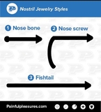 Painful Pleasures SNS119-120-121 18g Nose Bone, Screw or Fishtail with 2.5mm CZ 24kt gold plated - Price Per 1