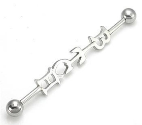 Painful Pleasures UB050 14g 1.75&quot; Bitch Industrial Barbell